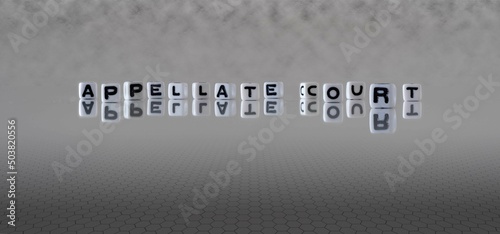 appellate court word or concept represented by black and white letter cubes on a grey horizon background stretching to infinity