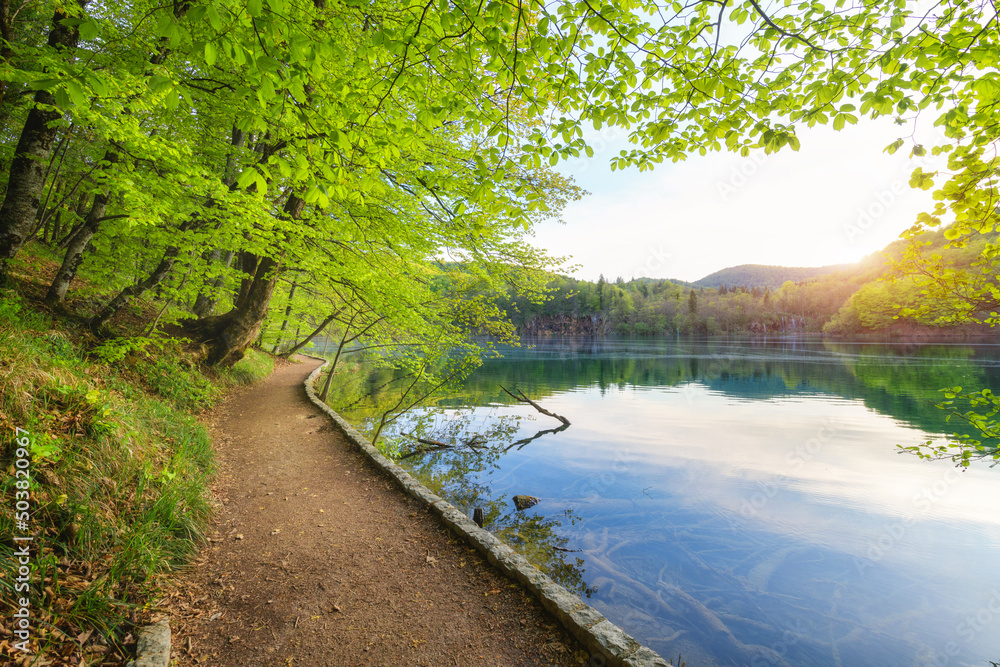 Fototapeta premium Path in beautiful forest near the lake at sunset in spring. Plitvice Lakes, Croatia. Colorful landscape with trail, trees with green leaves, blue water in blooming park in summer. Walkway in woods