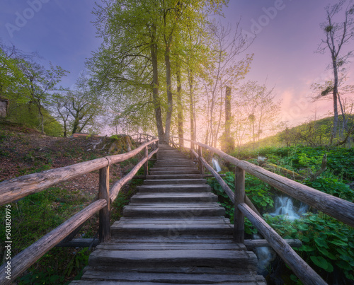 Wooden stairs in forest at sunset in spring. Plitvice Lakes  Croatia. Colorful landscape with path in blooming park  steps  green trees  water lilies  river  pink sky in summer. Trail in woods. Nature