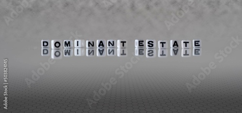 dominant estate word or concept represented by black and white letter cubes on a grey horizon background stretching to infinity