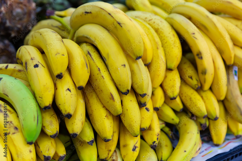 Showcase with ripe yellow bananas at outdoors market