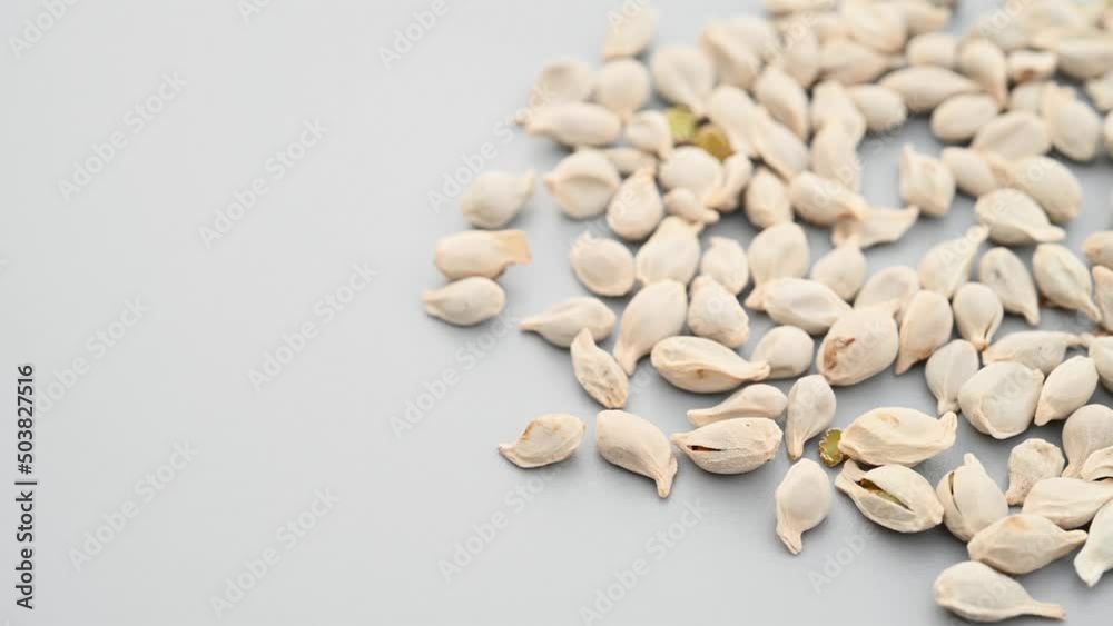 angle pan herb JuHe or Semen Citri Reticulatae or Tangerine Seed angle pan herb JuHe or Semen Citri Reticulatae or Tangerine Seed