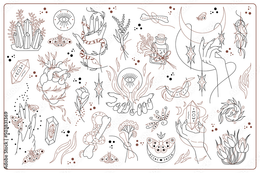 Set  hand drawn vector isolated elements of Mysticism. Witchcraft attributes. Hands. Snake. Plants. Crystal. Black hand drawn doodle on a white background. Insects. Moon. Bone.