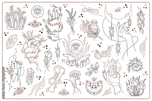 Wallpaper Mural Set  hand drawn vector isolated elements of Mysticism. Witchcraft attributes. Hands. Snake. Plants. Crystal. Black hand drawn doodle on a white background. Insects. Moon. Bone. Torontodigital.ca