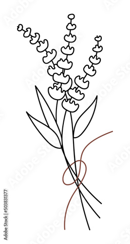 Vector isolated element. A bouquet of flowers. Lavender. Elegance. Mysticism. Black hand drawn doodle on a white background. The print is used for packaging