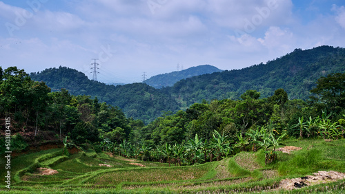 Views of rice fields surrounded by hills, beautiful and fresh mountains