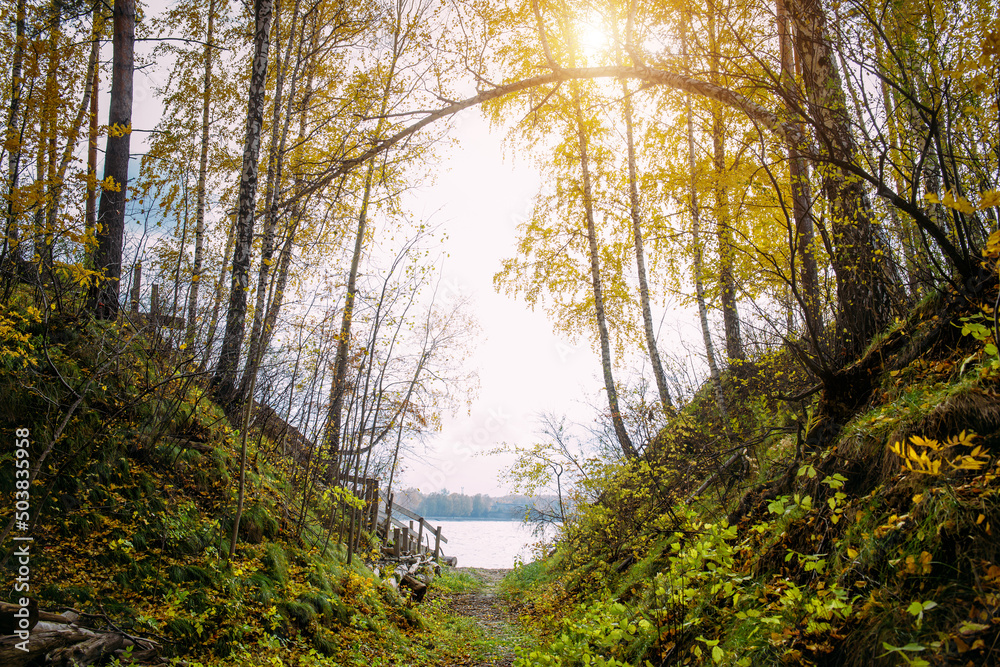 Autumn forest with yellowing trees in sunny day. Path between grassy hills leads to the river bank. Peaceful natural landscape. Autumn forest with yellowing trees in sunny day. Path between grassy hills leads to the river bank. Peaceful natural landscape.