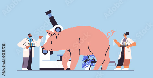 scientists doing experiments in lab with animals veterinary workers with experimental pig biological genetic engineering research