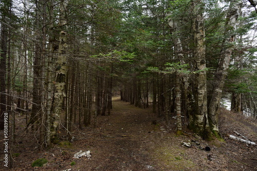 Judge C.R Magney State Park