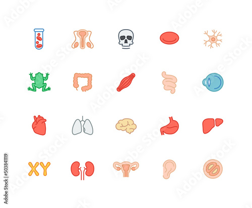 Collection of human organs color icons. Set of human body, Cell symbols drawn with thin contour lines. Vector illustration.