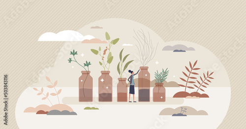 Essential oils for aromatherapy and organic medicine tiny person concept. Herbal nature treatment for wellness and health vector illustration. Fragrance, perfume and scent from herbs and flowers.