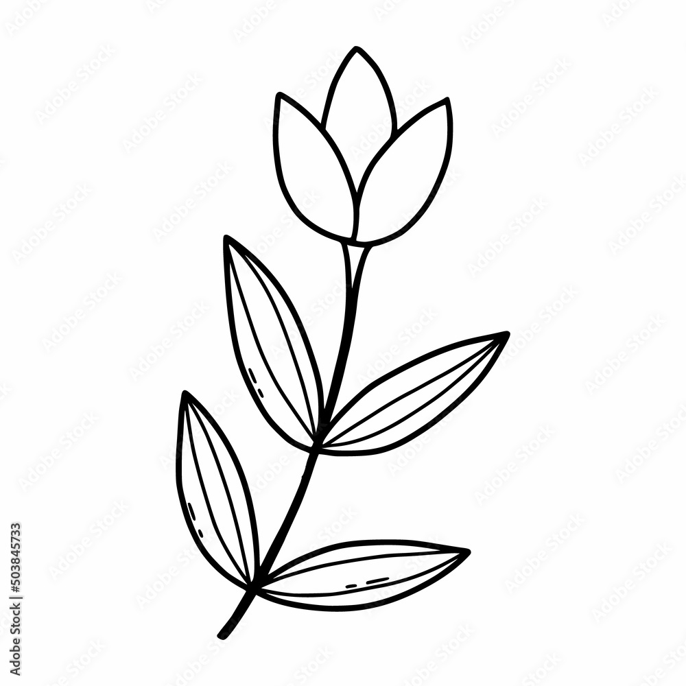 Doodle flower on white background. Vector illustration with plant. Coloring book for kids. Postcard design. Doodle flower on white background. Vector illustration with plant. Coloring book for kids. Postcard design.