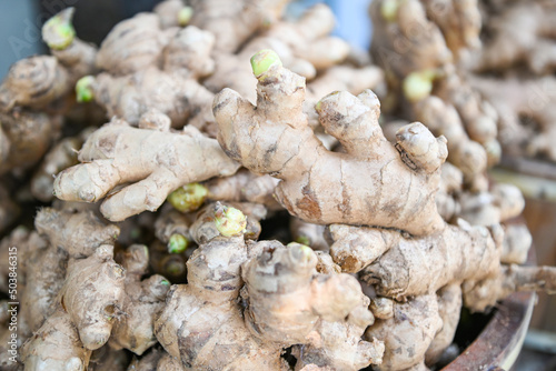 Fresh organic ginger on fresh market in thailand, fresh ginger plant farm harvest ginger root on field agricultural for sold in the market