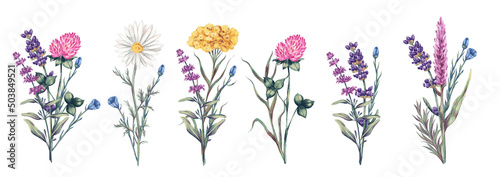 Fotografia, Obraz Watercolor hand drawn set with illustration of wild flowers bouquet