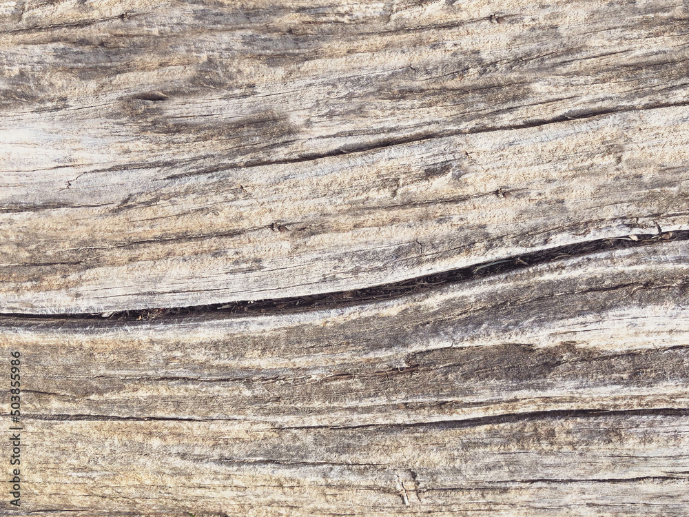 wood texture background surface, old wood natural pattern. Wood texture for design and decoration. wood planks. Wooden Texture background. wooden Backdrop. Grunge texture. natural background. antique. wood texture background surface, old wood natural pattern. Wood texture for design and decoration. wood planks. Wooden Texture background. wooden Backdrop. Grunge texture. natural background. antique.