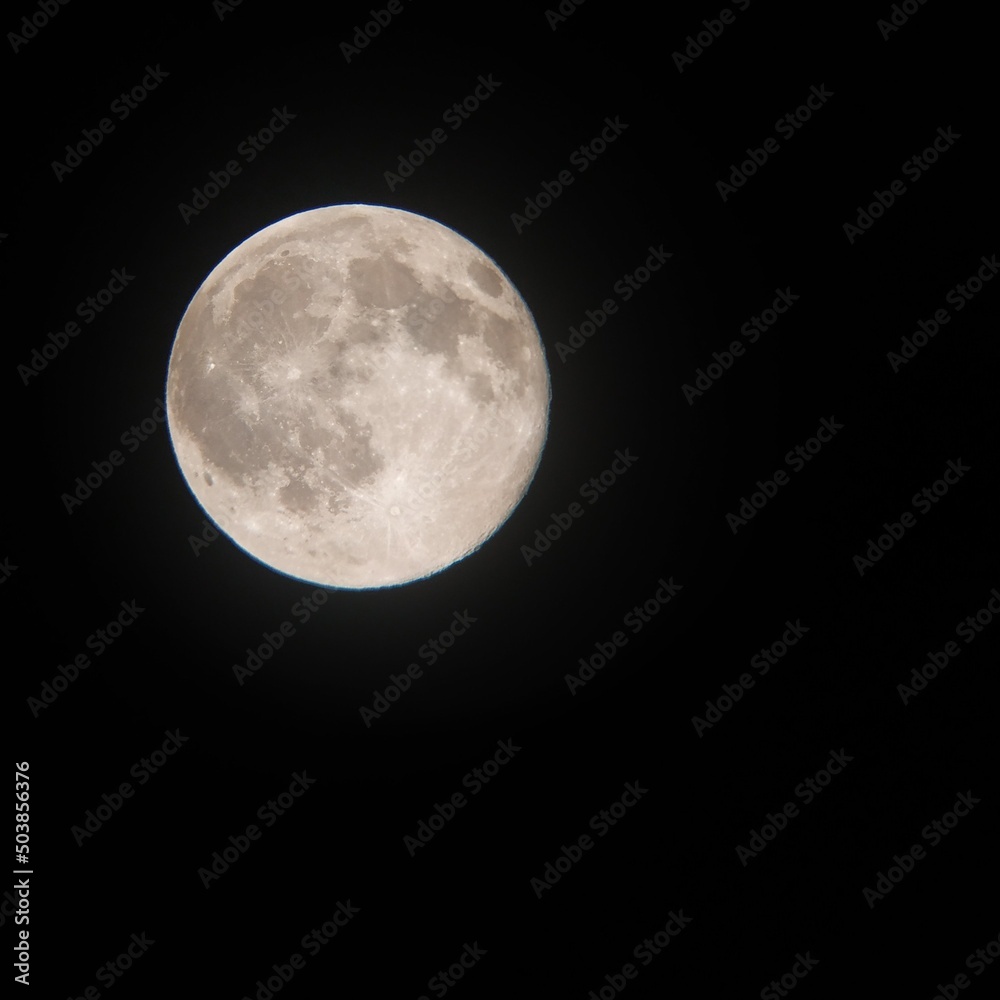 Fototapeta premium full brigth moon in a clear night sky