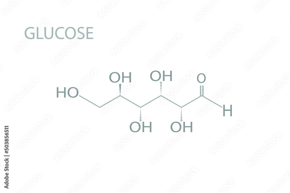 Glucose molecular skeletal chemical formula.
Glucose molecular skeletal chemical formula.