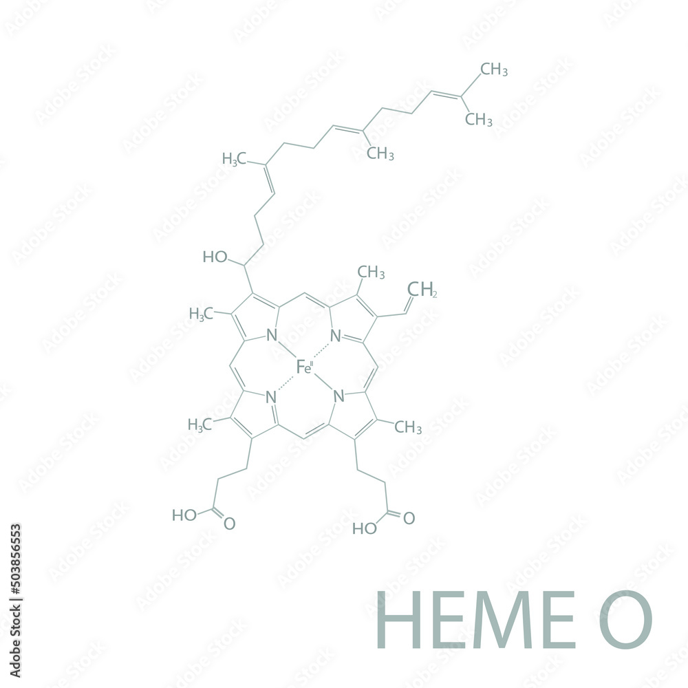 Heme O molecular skeletal chemical formula.	

