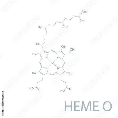 Heme O molecular skeletal chemical formula. 