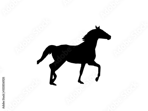 Horse vector image. Horse Vector Icons and Graphics for Free EPS..eps