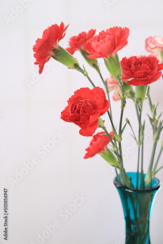 花瓶に入った赤いカーネーションの花