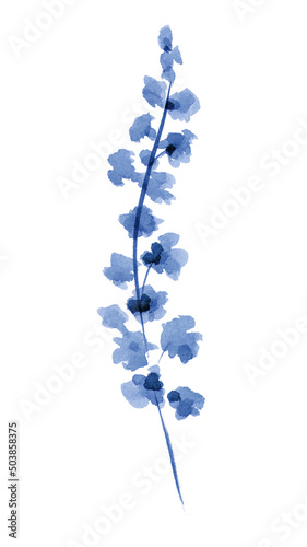 Canvastavla Watercolor natural field flower on white background