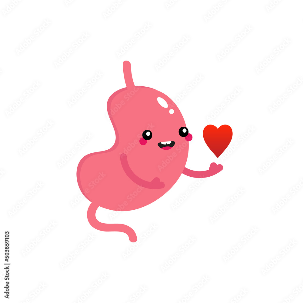 Obraz premium Cute smiling cartoon style healthy stomach character holding red heart as a symbol of care.