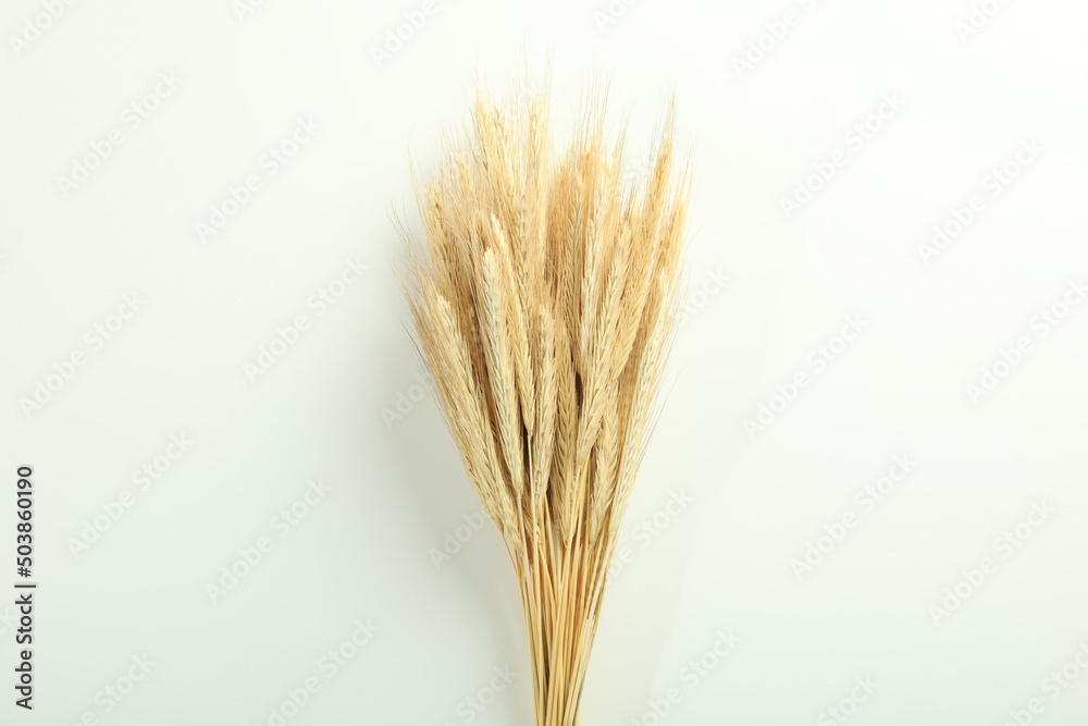Hygge concept, dried flowers on white background Hygge concept, dried flowers on white background