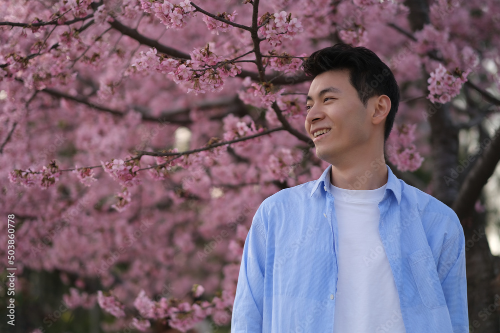 smiling handsome Asian young man side face, with beautiful pink cherry blossom tree in spring smiling handsome Asian young man side face, with beautiful pink cherry blossom tree in spring