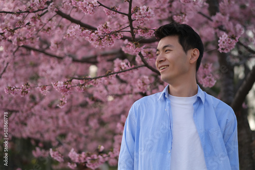 smiling handsome Asian young man side face, with beautiful pink cherry blossom tree in spring
