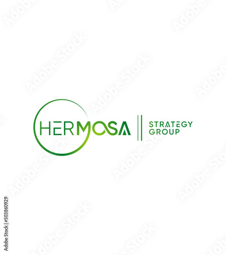 HERMOSA Strategy Group creative modern vector logo template