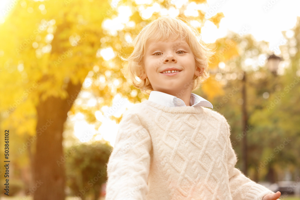 Cute funny boy in autumn park Cute funny boy in autumn park
