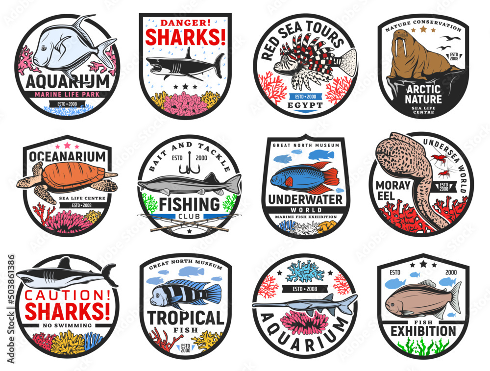 Obraz premium Tropical sea fishes and ocean animals icons. Oceanarium aquarium, fishing club and sharks danger warning, travel tours, nature museum emblem or badge. Turtle, moray eel and lionfish, walrus vector