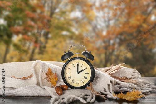 Alarm clock, acorns, scarf ...