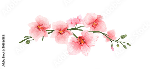 Pink Orchid watercolor flower on white background. Tropical flowers isolated. Vintage pink flowers painting. Vector illustration photo