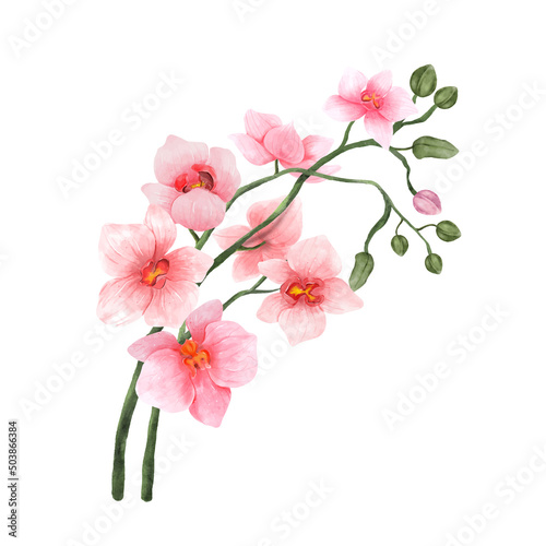 Pink Orchid watercolor flower on white background. Tropical flowers isolated. Vintage pink flowers painting. Vector illustration