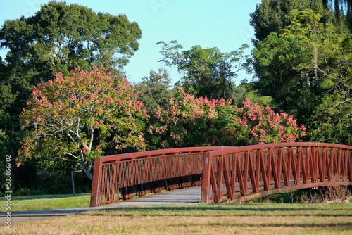 Pedestrian bridge on the trail that runs through Cliff Stephens Park photo