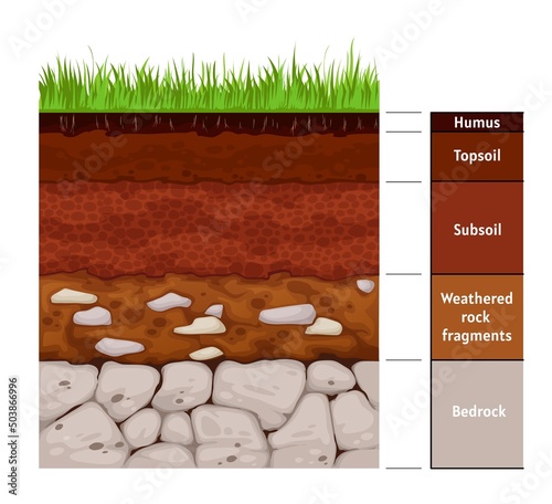 Soil layer infographic, earth geology formation bedrock, weathered rock fragments, subsoil, topsoil, humus. Vector infographics chart with soil cross section and underground surface photo