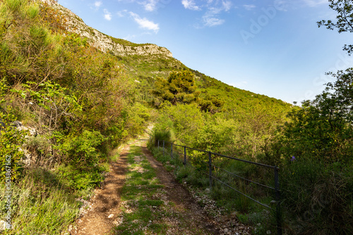 Mountain trail among green hills on a warm summer's day, Dalmatia region. Croatia.