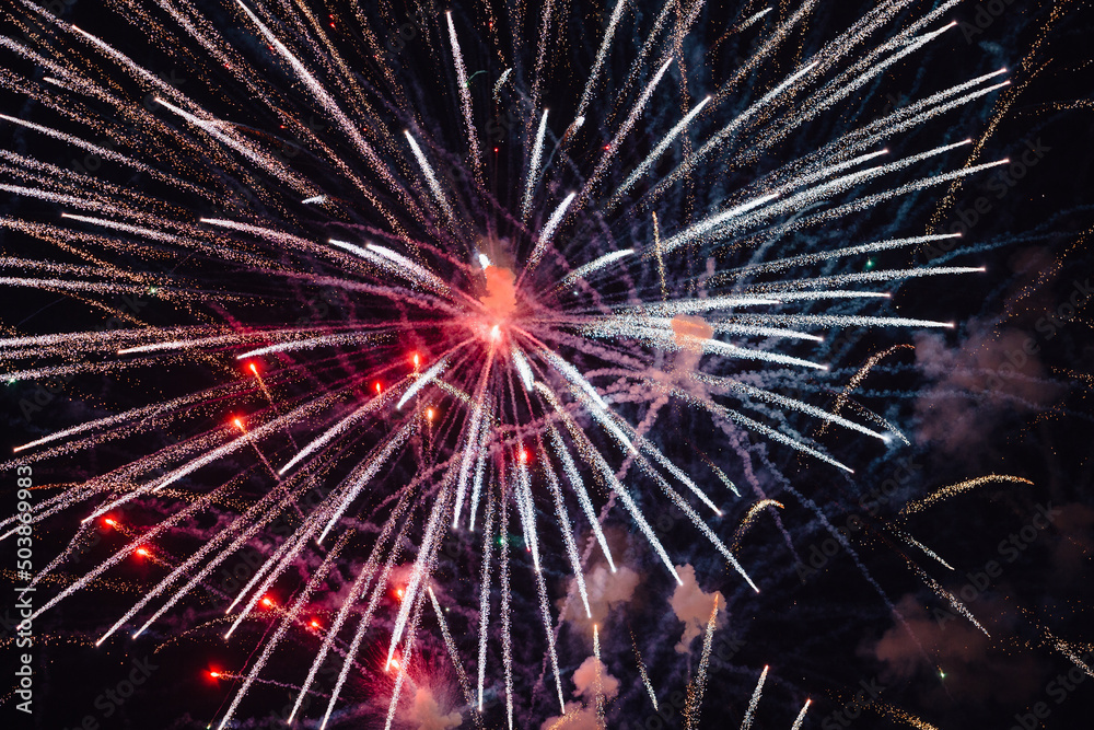 Obraz premium fireworks in the night sky