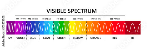 Visible light spectrum, infared and ultraviolet. Optical light wavelength. Electromagnetic visible color spectrum for human eye. Gradient diagram. Educational vector illustration on white background.