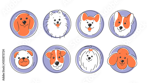 Set of dog faces of different breeds. Corgi, Akita, spitz , Dachshund, Poodle, Terrier, Pug. Vector illustration on white background