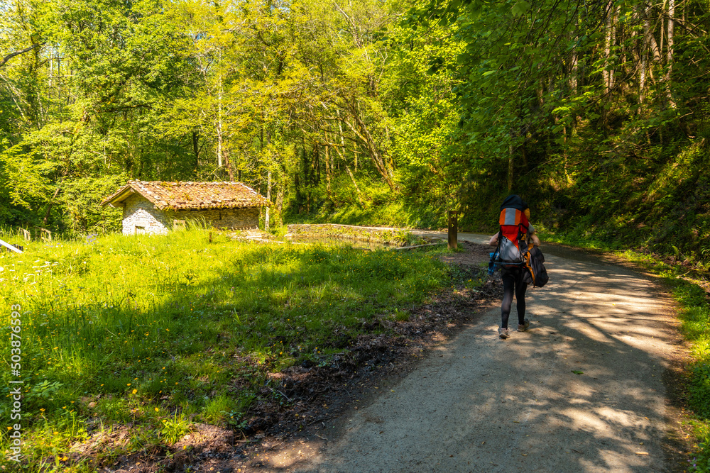 Obraz premium A young woman visiting the Pagoeta park in Aia, Guipuzcoa. Basque Country