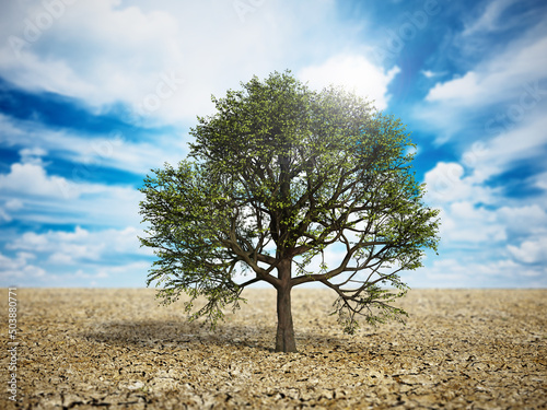 Green oak tree standing in the middle of the desert. Climate change and global warming concept. 3D illustration