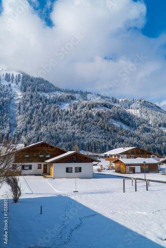 Vertical view of traditional Austrian Chalet houses in the town of Tannheim, Tyrol