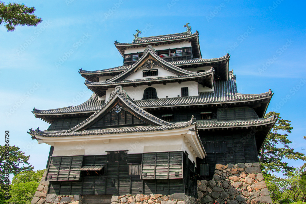 Fototapeta premium 松江城