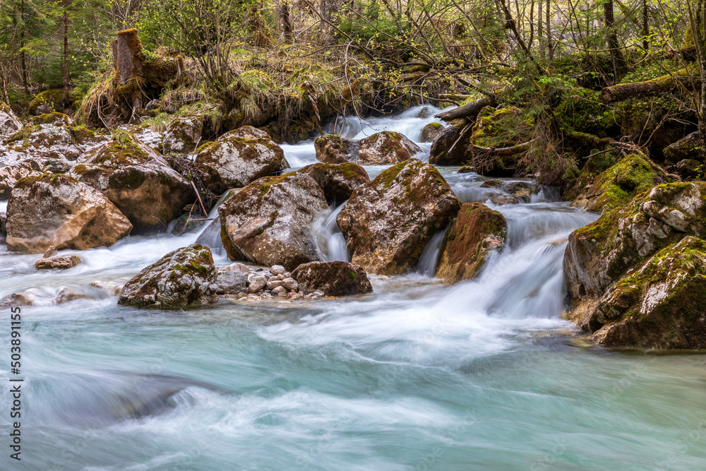 Im Zauberwald am Hintersee bei Ramsau, Berchtesgaden Im Zauberwald am Hintersee bei Ramsau, Berchtesgaden