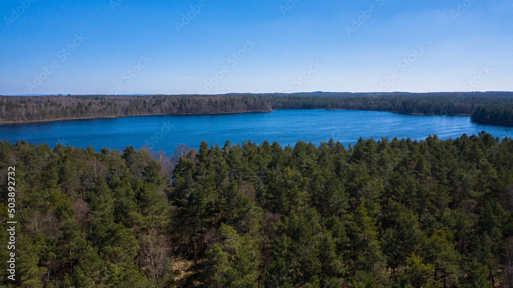Aerial landscape of the lake surrounded by the forest. Clear blue sky and blue water.
