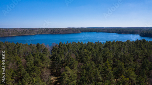 Aerial landscape of the lake surrounded by the forest. Clear blue sky and blue water.