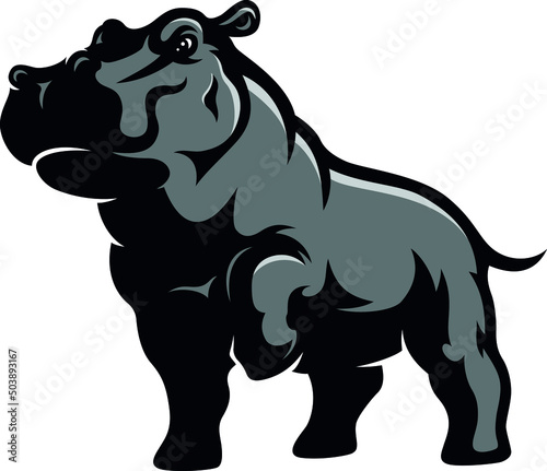 A Hippo with Athletic Body Showing Its Confidence